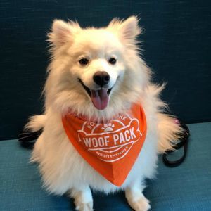 Meet your Posher, Chelsie